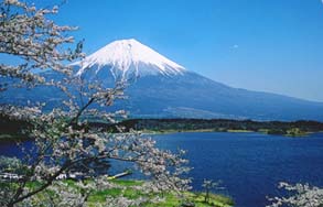 fujisan